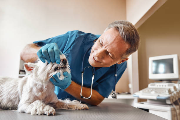 Best Emergency Root Canal Treatment in Kingfisher, OK